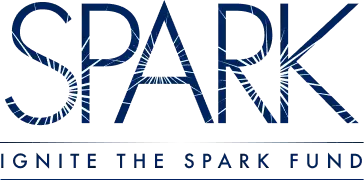 Ignite the Spark logo