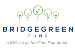 Bridgegreen fund
